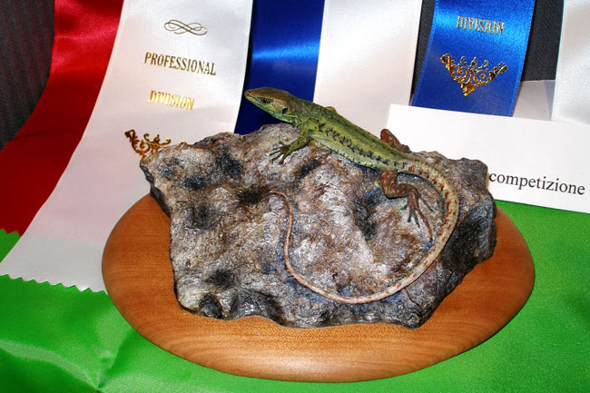 2007-lucertola